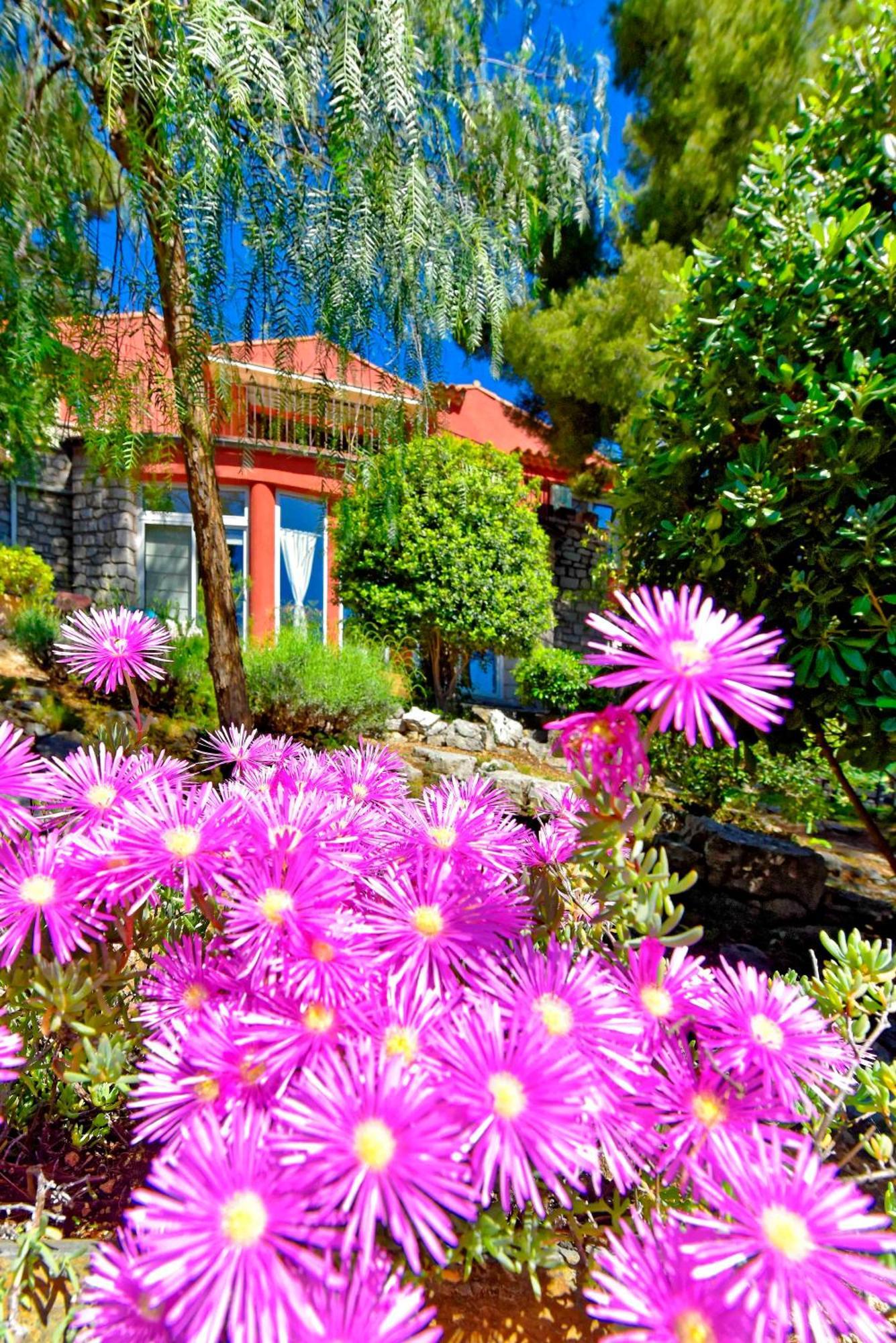 Appartements Avec Jardin Dans Villa Rocaille Cassis Buitenkant foto